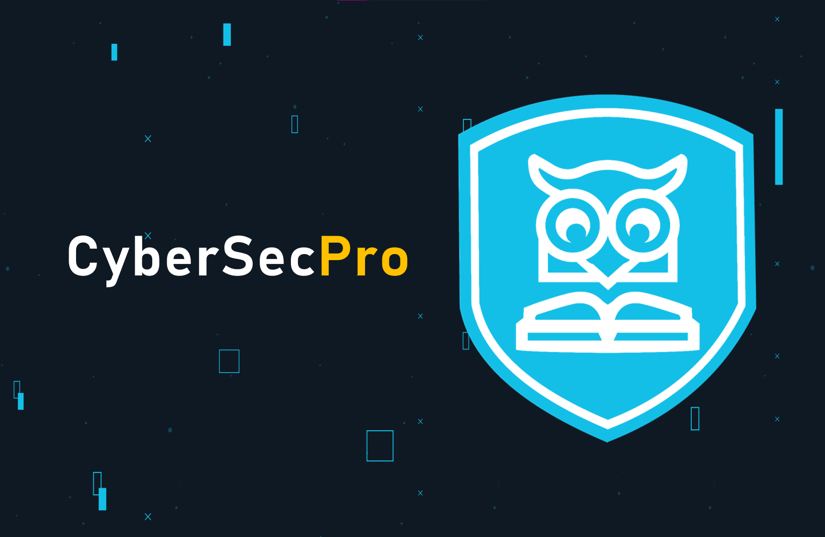 CyberSecPro